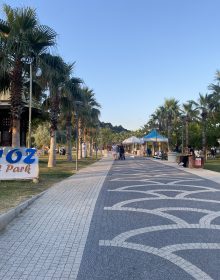 IMG_4724