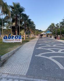 IMG_4725