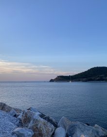 IMG_4726