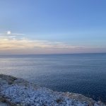 IMG_4728