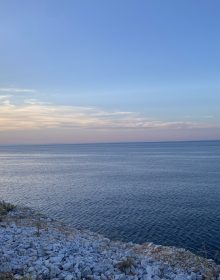 IMG_4728