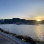 IMG_4730
