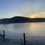 IMG_4731