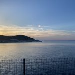 IMG_4732