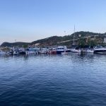IMG_4737