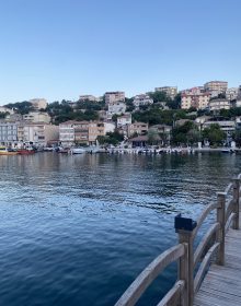 IMG_4739
