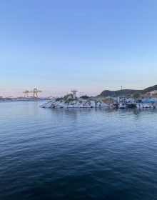 IMG_4740
