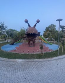 IMG_4749